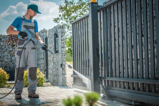 Best Sidewalk and Walkway Cleaning  in Wells Branch, TX